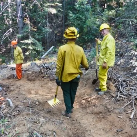 Landowners at a UCCE prescribed fire training are 'holding' the fire on the left side of the fire line that was cut using rakes and other hand tools. The landowner on the far left is firing the burn unit with a drip torch. (Photo: Ames Gilbert)