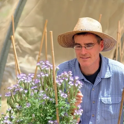 UC Davis pollination ecologist Neal Williams has just been named a Highly Cited Researcher by Clarivate Analytics, an honor awarded to exceptional scientists and social scientists who have demonstrated significant influence by publishing multiple papers that rank in the top 1 percent by citations in a particular field and year, over a 10-year period. (Photo by Kathy Keatley Garvey)