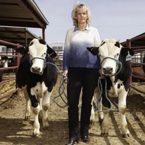 Alison Van Eenennaam with hornless cattle. (Photo: Aleksandra Domanovic and Spencer Lowell)