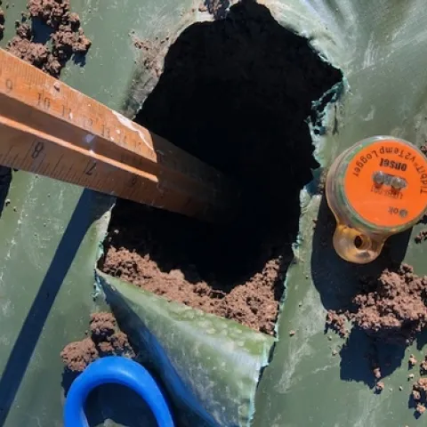 Getting ready to bury the datalogger 6 inches deep. Ruler is to make certain the depth is correct.