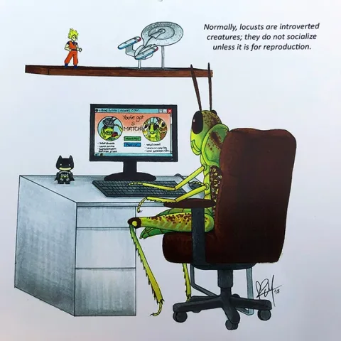 This is the illustration that Karissa Merritt, UC Davis entomology major and artist, created for the Bohart Museum of Entomology calendar for the month of January. The calendar is available to the public for $12.