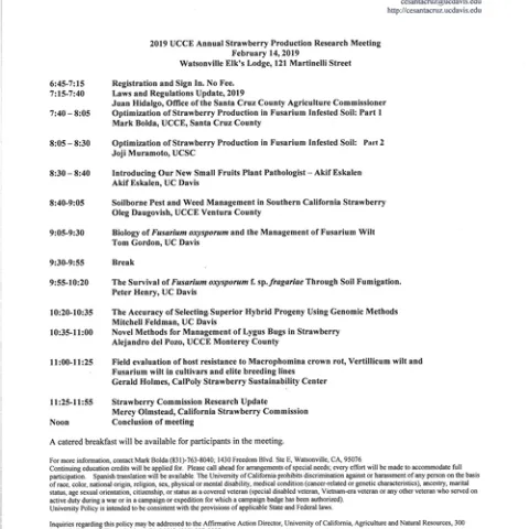 Paint 2019 Strawberry meeting English