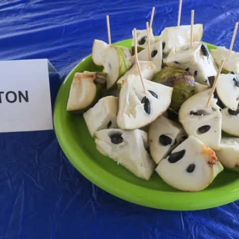 Cherimoya