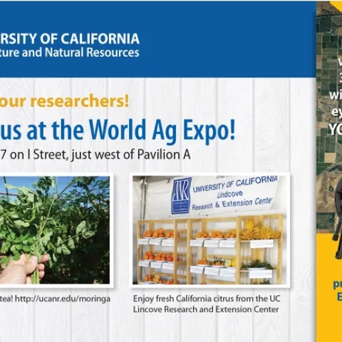 World-Expo-post-card-PRESS-1