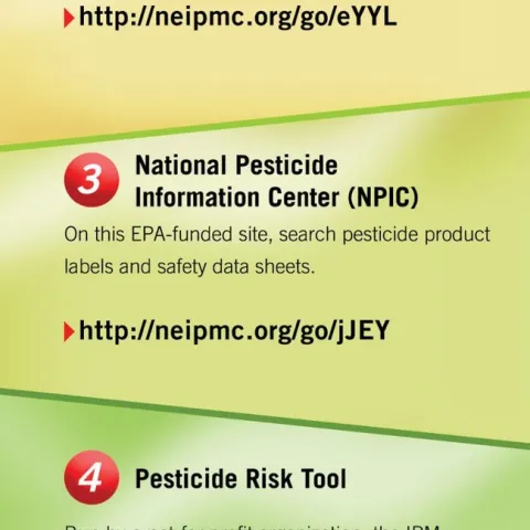 Databases-infographic-web