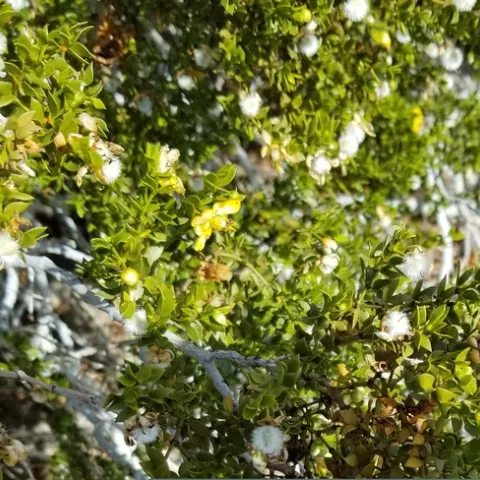 photos by Jenni Dodini