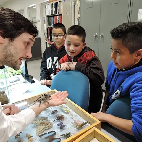 Bohart associate/entomology student Wade Spencer shows Coco McFluffin to Bohart Museum visitors. (Photo by Kathy Keatley Garvey)
