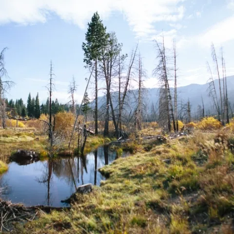 ANR is partnering with UC Merced and UC Irvine scientists to develop new tools and methods for better land management.