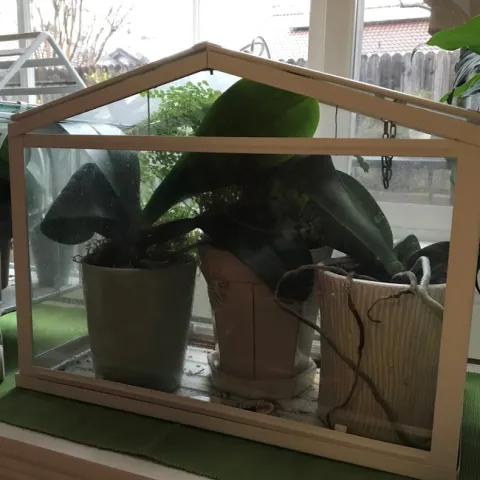 photos by Janet Snyder