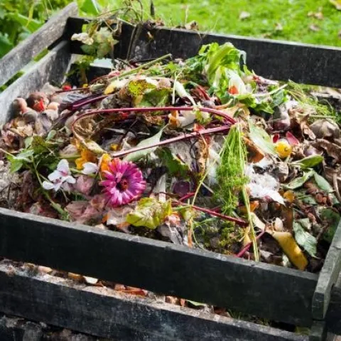 garden compost pile