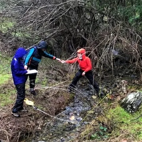 3 UC Davis Hydrology students collecting data from a stream during rainy weather.