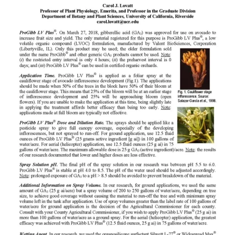 Lovatt - gibb spray CAC Grower Education Feb 5-7 2019 Handout GA3 to increase yield