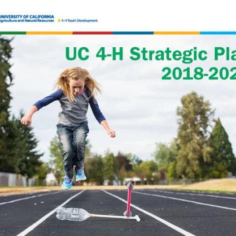 4H strategic plan