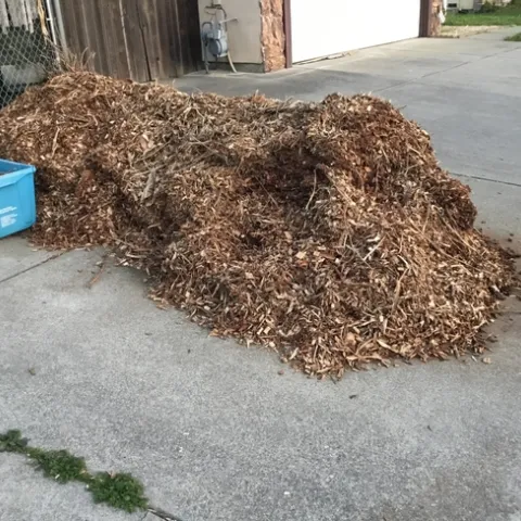 photos by Tina Saravia