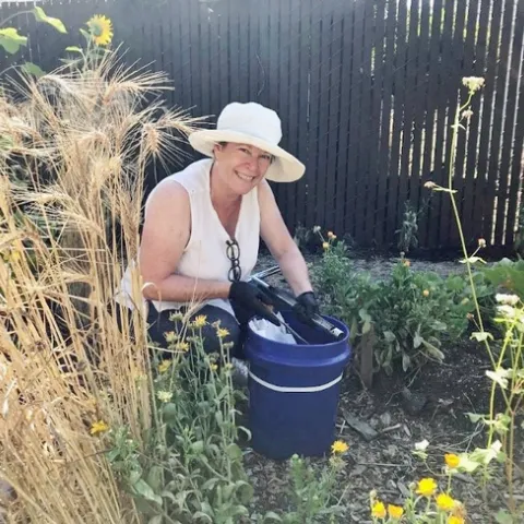 Mimi taking soil samples after 2017 fires