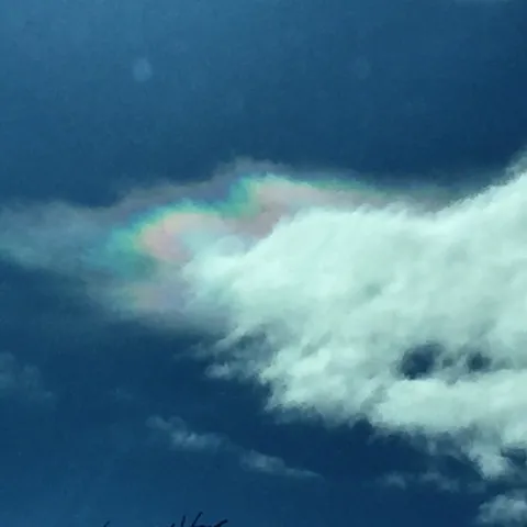 photo by Jennifer Baumbach