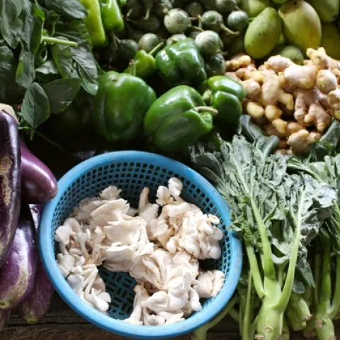 rainbow assortment of fruits and vegetables