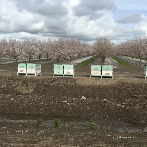 photos by Michelle Davis