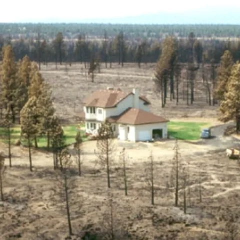 Successfully defended home