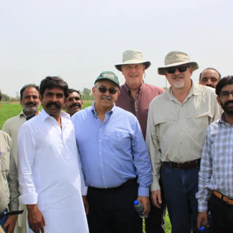 Dr.Khaled Bali (green hat), Dr.Dan Putnam (center back), and Dr.Jeff Dahlberg (tan hat and shirt) meeting with Pakistani improved forage stakeholders.
