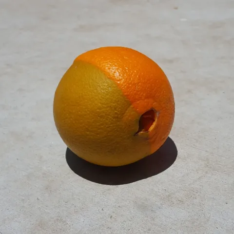 navel chimera coloring