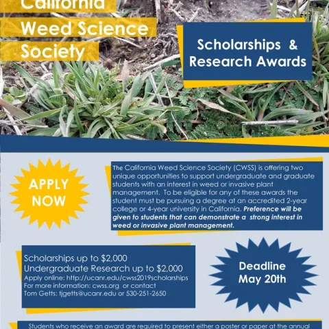 CWSS Student Scholarship Flyer