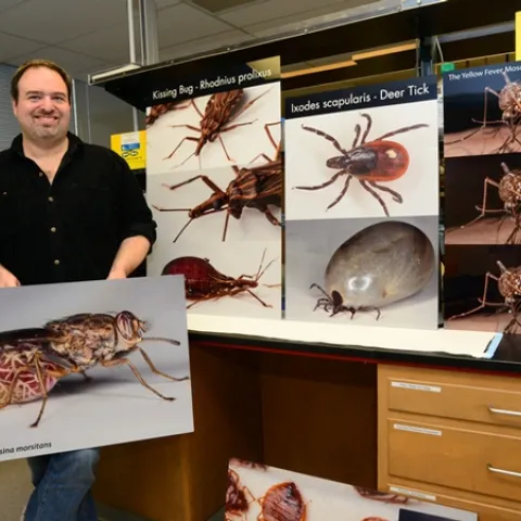 UC Davis medical entomologist Geoffrey Attardo holds one of his images, a tsete fly. He does research on the fly. He also will be showcasing his other images of vectors on UC Davis Picnic Day. (Photo by Kathy Keatley Garvey)