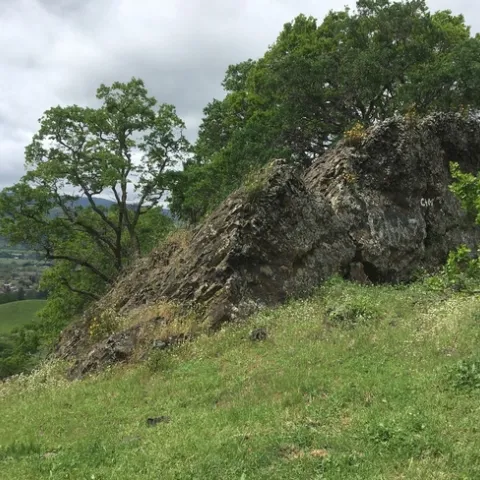 photo by Michelle Davis