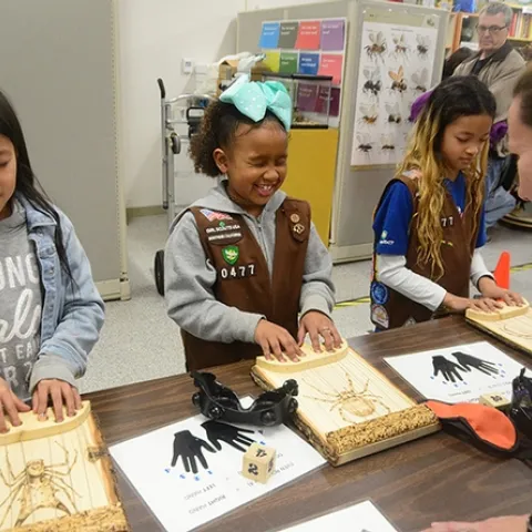 Brownie Girl Scouts (from left) Jayda Navarette, Kendl Mackin and Keira Yu of Vacaville Troop 30477 react to the spider sensory activity. At right is postdoctoral fellow Vera Opatova of the Jason Bond lab. (Photo by Kathy Keatley Garvey)