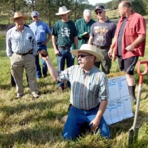 2018 irrigated pasture