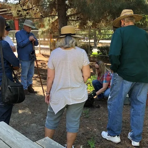 Attendees watch tree planting.