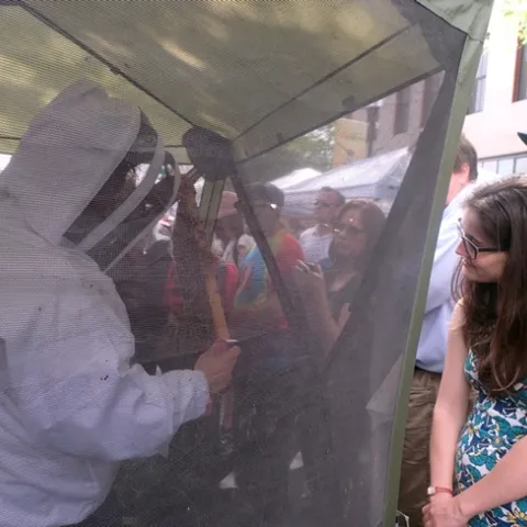 Extension apiculturist Elina Lastro Niño opens a hive at the first California Honey Festival, launched in 2017. (Photo by Kathy Keatley Garvey)