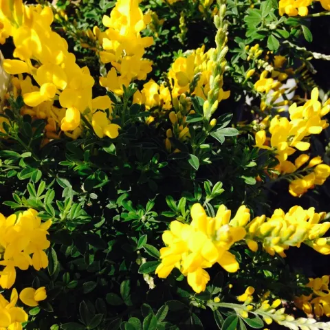 Photo By Andrea Peck