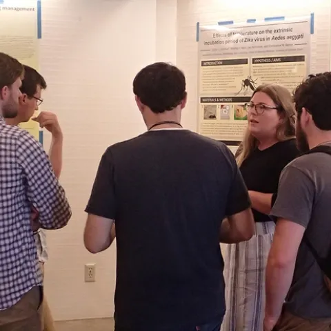 Doctoral student Olivia Winokur talks to a group about her research at the 2018 DEBVBD Symposium. She studies with medical entomologist Chris Barker. (Photo by Kathy Keatley Garvey)