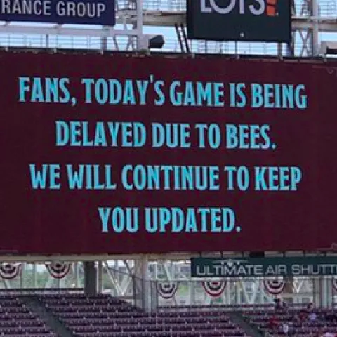 Sign for fans. (Photographer unknown)