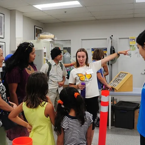 Jessica Gillung, as a doctoral student, helping visitors at the Bohart Museum of Entomology. She just won the prestigious Marsh Award for Early Career Entomologist, sponsored by the Royal Entomological Society.
(Photo by Kathy Keatley Garvey)