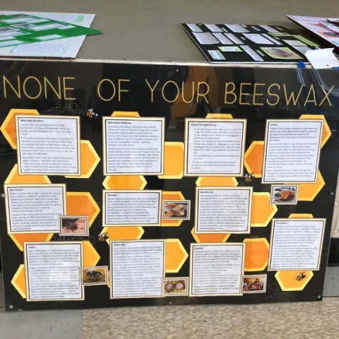 Dixon 4-H'er Ryan Anenson of the Tremont 4-H Club created this award-winning educational display, "None of Your Beeswax" for the Dixon May Fair. (Photo by Kathy Keatley Garvey)