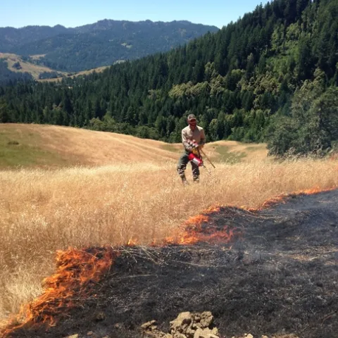 Prescribed Fire