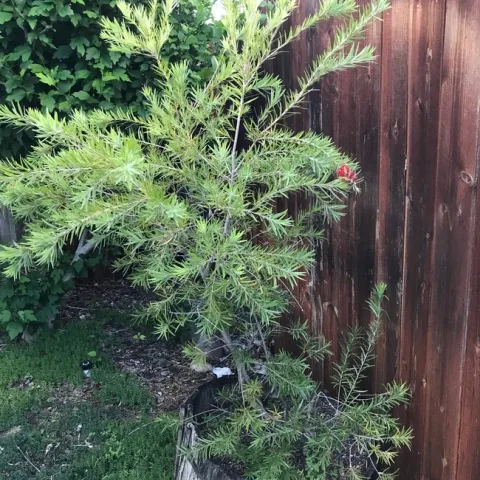 photos by Karen Metz