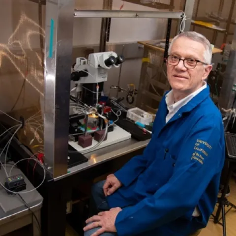 Walter Leal, distinguished professor in the UC Davis Department of Molecular and Cellular Biology, studies the molecular basis of insect olfaction, unraveling how insects detect chemicals and using that knowledge to inform pest management techniques. (Photo by David Slipher, College of Biological Sciences)