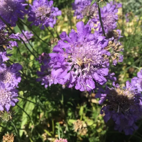 Photo by Leslie E. Stevens