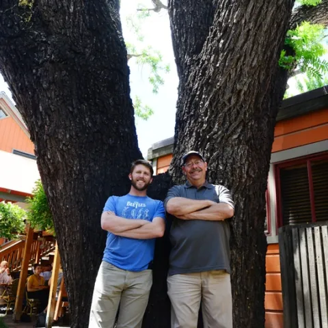 Jackson Audley (left) with major professor Steve Seybold in front of a dying black walnut tree on E St. in Davis. (Photo by Kathy Keatley Garvey)