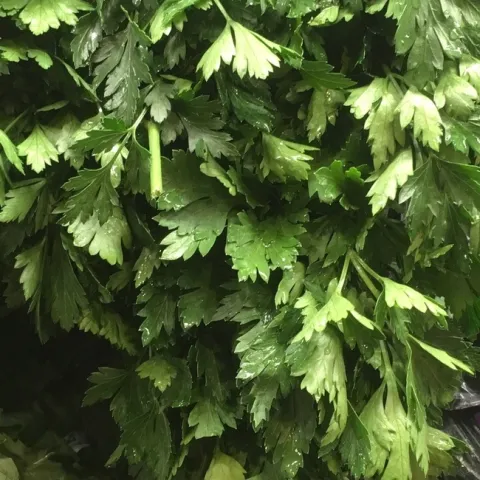 photos by Michelle Davis