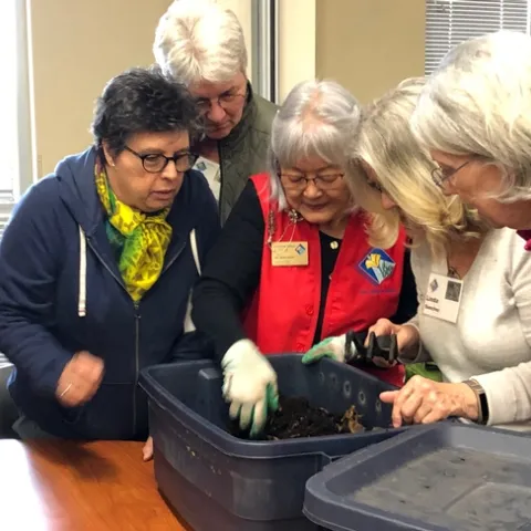 UCCE Master Gardeners learn about vermicomposting (composting using worms).