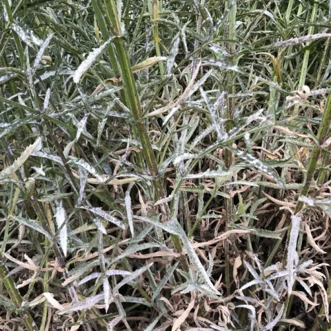 photos by Erin Mahaney