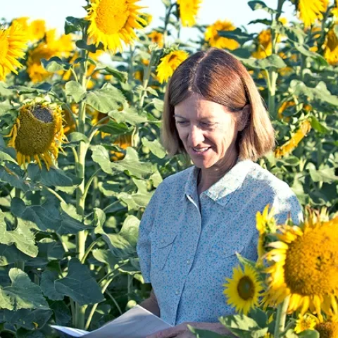 Rachael Long takes notes on sunflower seed production.