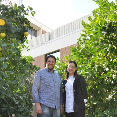 Georgios Vidalakis, left, and UC Riverside plant pathologist Wenbo Ma are among scientists searching for an HLB cure. (Photo: UCR Today)