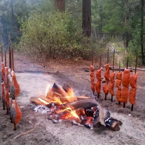 Two lines of salmon skewered on wooden poles line opposite sides of a wood fire.