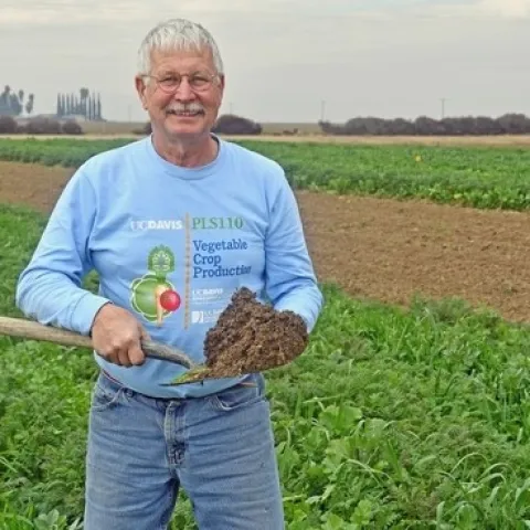 UCCE cropping systems specialist Jeff Mitchell is working on building soil in the San Joaquin Valley.