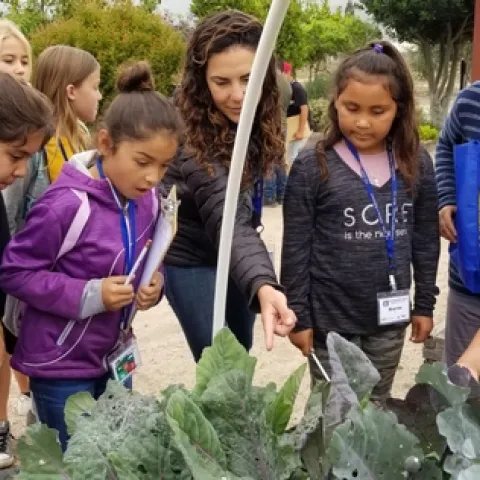 Land day farm nature walk
